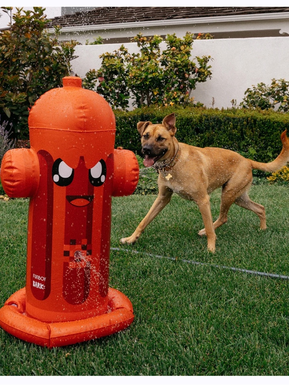 Funboy x BARK Harry Hydrant Large Inflatable Multi Spout Sprinkler Pets & Kids !